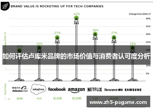 如何评估卢库米品牌的市场价值与消费者认可度分析