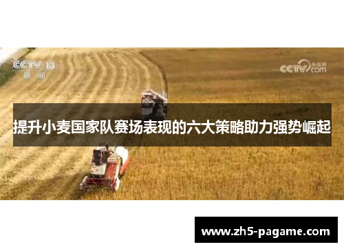 提升小麦国家队赛场表现的六大策略助力强势崛起