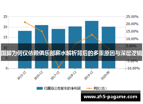 国脚为何仅依赖俱乐部薪水解析背后的多重原因与深层逻辑