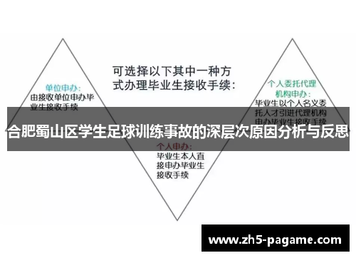 合肥蜀山区学生足球训练事故的深层次原因分析与反思