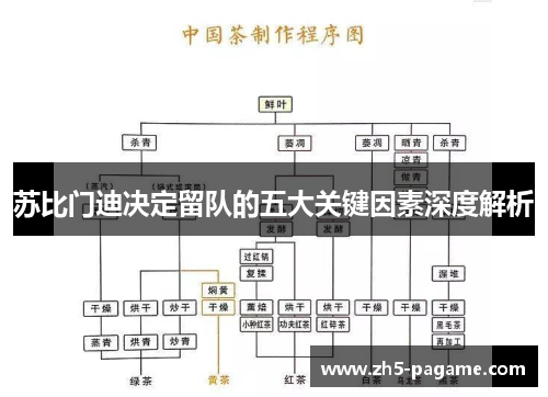 苏比门迪决定留队的五大关键因素深度解析 苏比门迪决定留队的五大关键因素深度解析