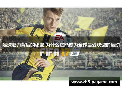 足球魅力背后的秘密 为什么它能成为全球最受欢迎的运动