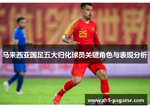 马来西亚国足五大归化球员关键角色与表现分析