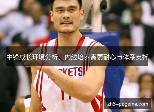 中锋成长环境分析,内线培养需要耐心与体系支撑 中锋成长环境分析,内线培养需要耐心与体系支撑